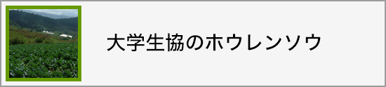 大学生協のホウレンソウ